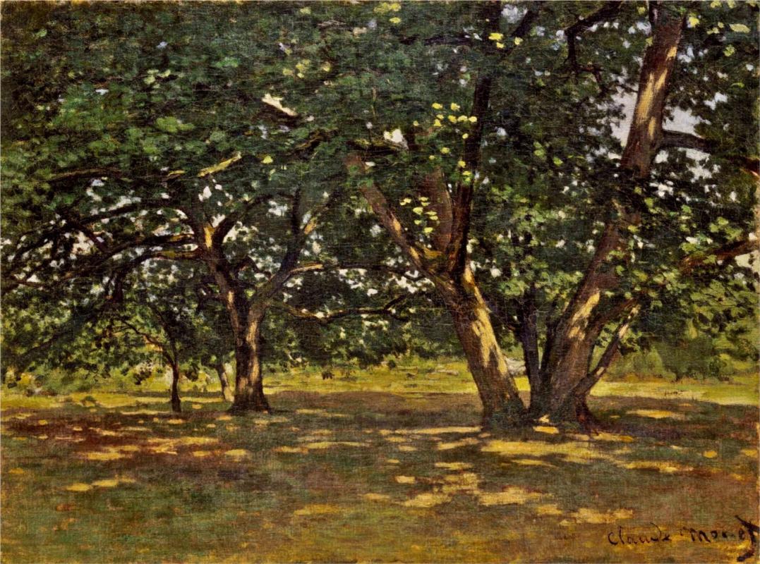 Fontainebleau Forest, 1865 - Claude Monet Paintings